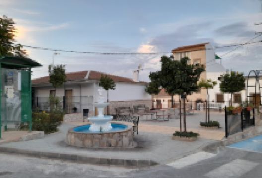 Plaza de la Palmera景点图片