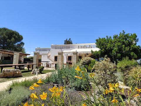 Oppure Masseria Moderna餐厅图片