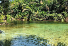 Balneario Água Branca景点图片