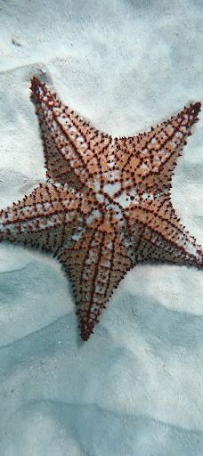 Piscina Natural Saona-圣拉斐尔－德尔尤马