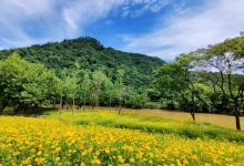 十里寿昌江滩涂公园景点图片