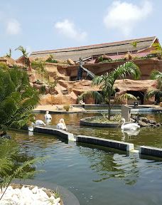 Keta Lagoon Protected Area-凯塔