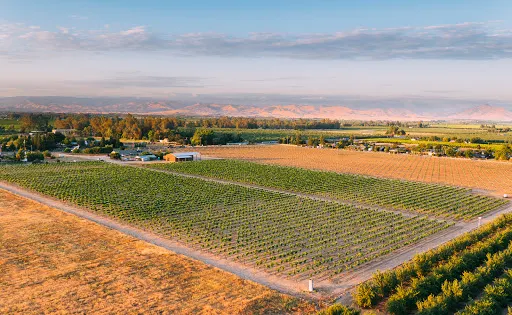 Valley Oak Winery