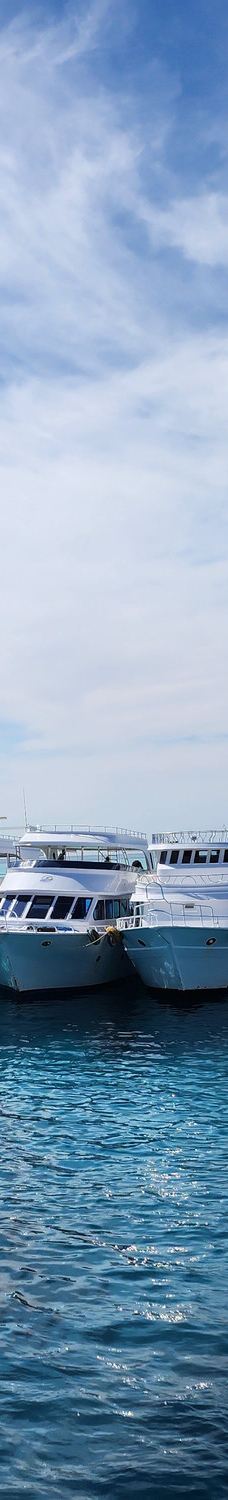 穆罕默德国家公园-Qesm Sharm Ash Sheikh