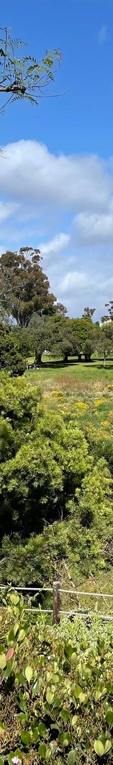 Japanese Friendship Garden & Museum-圣地亚哥