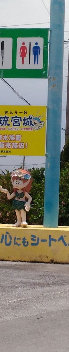 琉宫城蝴蝶园-本部町