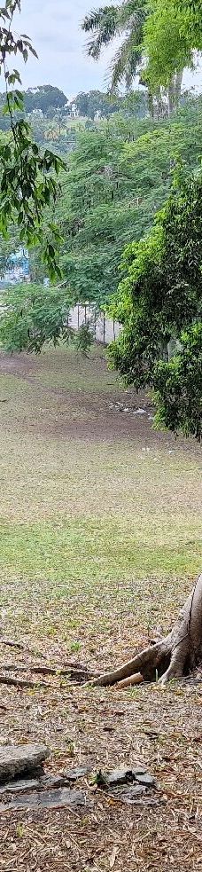 海明威故居-哈瓦那