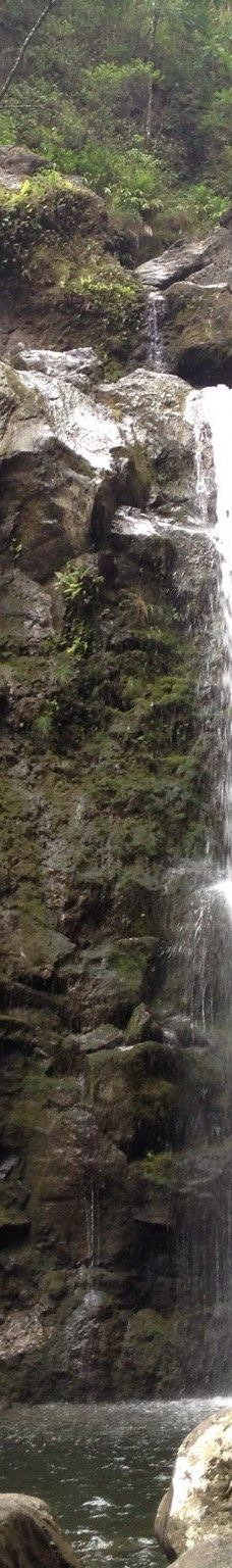 Upper Waikani Falls-茂宜县