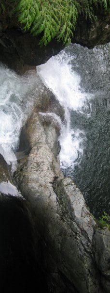 林恩峡谷公园-北温哥华