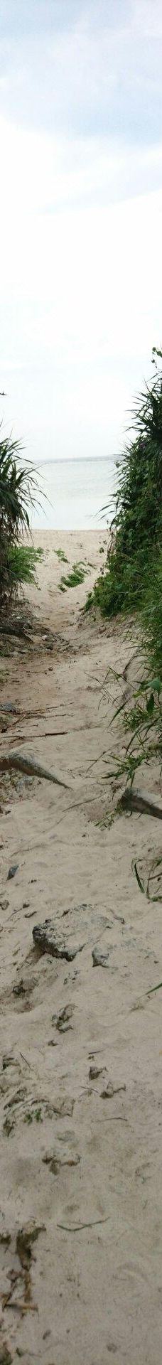 Yonamine Nagahama Beach-今归仁村