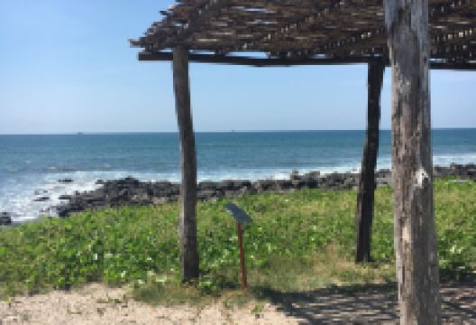 Piedras Las Labradas Petroglyphs景点图片