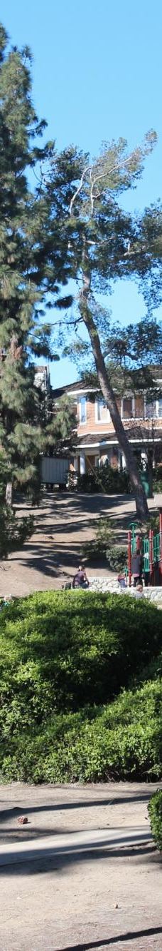 Pines Park-达纳点