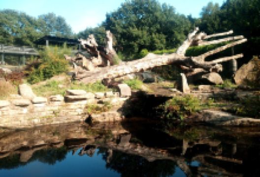 Marcelle Natureza景点图片