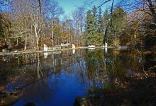 Norvin Green State Forest景点图片