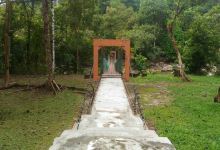 Kuala Woh Recreational Forest景点图片