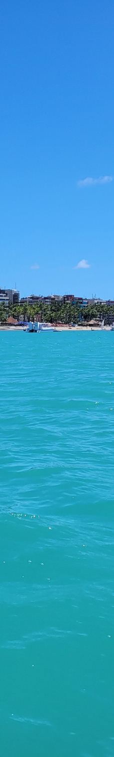 Piscinas Naturais de Pajucara-马塞约