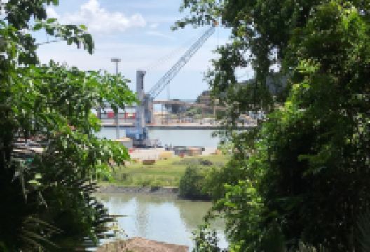 Parque Ecológico Municipal de S?o Francisco do Sul景点图片