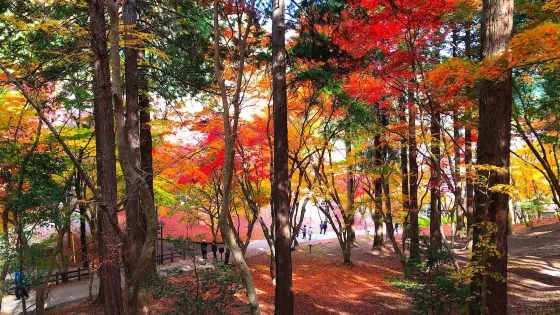 Ozekiyama Park