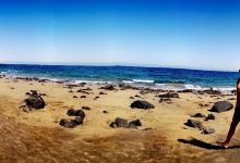 Playa de los Pocillos景点图片