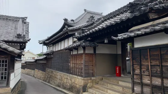 Junkaimachidori