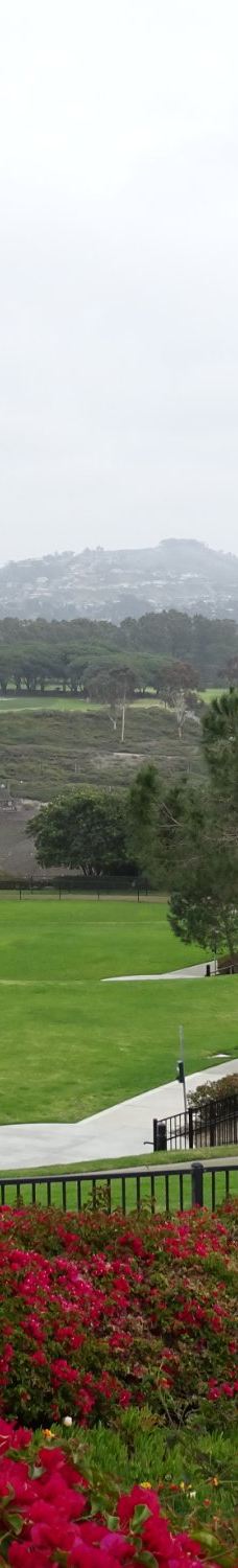 Doris Walker Overlook-达纳点