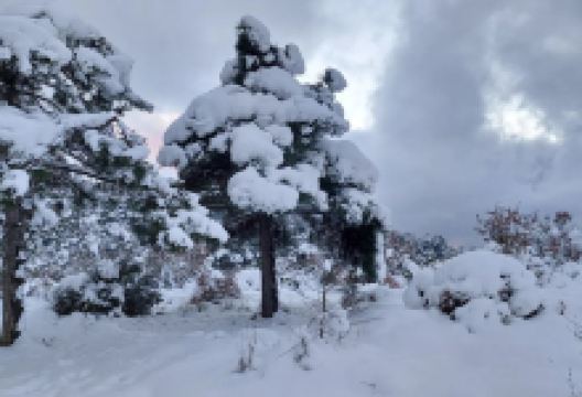 Gazilerdagi Tabiat Parki景点图片