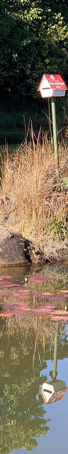 姆邦贝拉地方自治市