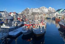 Henningsvær Port Viewpoint景点图片