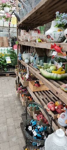 Flora Frankfri - Frankfri Flowers-措默鲁普