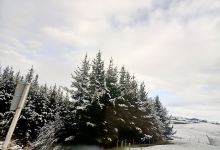 Omihi Reserve景点图片