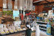 Greymouth Nurseries Limited购物图片