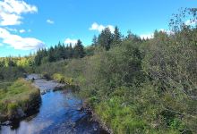 Gully Lake Wilderness Area景点图片