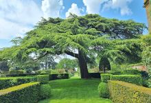 Hidcote Manor景点图片