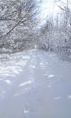 Gosudarstvennyy Prirodnyy Zakaznik Kamennaya Step'-塔洛瓦亚区