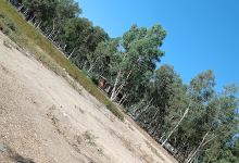 SİLİFKE BELEDİYESİ ATAPARK PİKNİK ALANI景点图片