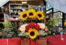 Vivero flor de tierra Escazú购物图片