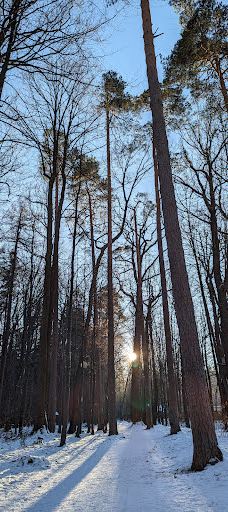 Park Cygański Las w Bielsku-Białej-别尔斯克 比亚瓦
