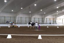 Hoosier Horse Park景点图片