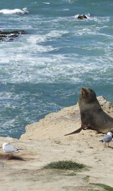 卡提奇灯塔-Moeraki