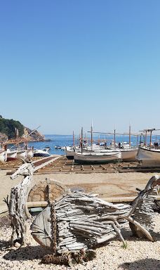 Playa Sa Riera-巴古尔