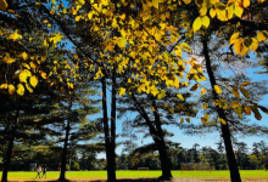 Dennis Hill State Park景点图片