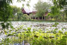 วัดเนินขาม-เขาวงศ์景点图片