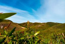 Tangga Bukit Kedamaian景点图片
