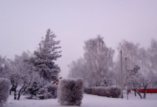 Memorial景点图片