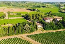 DOMAINE DE LA CONSEILLERE - Vin - Œnotourisme - Tiers Lieu oenoculturel景点图片