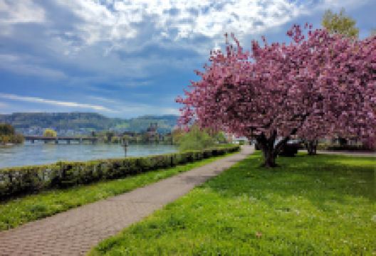 Fontäne景点图片