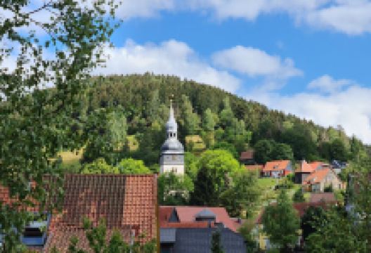 Lautenthaler Wasserfall景点图片