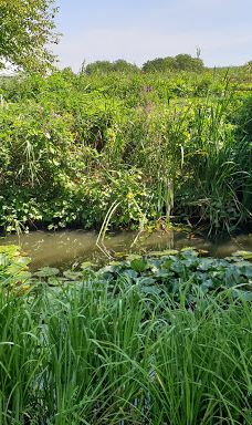 Szent Miklós Vízi- és Taposómalom, Múzeum-莫哈奇区