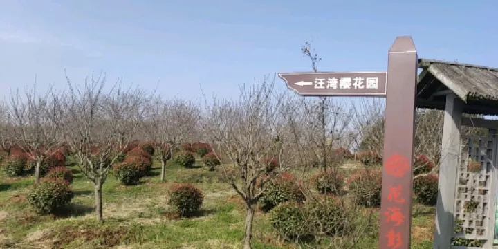 特幫汪灣櫻花園