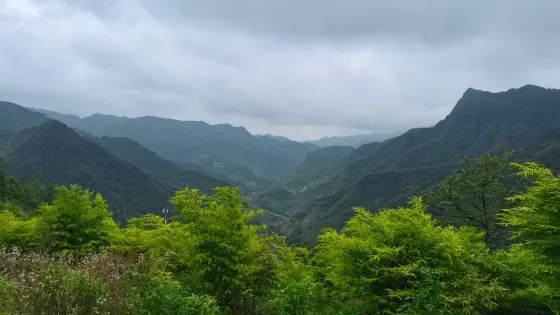 刺竹溝樑子